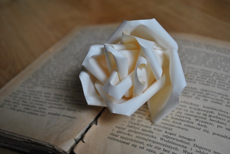 Piękniejszy świat Beaty: Papierowe róże