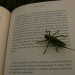 Grzegorz Sokołowski