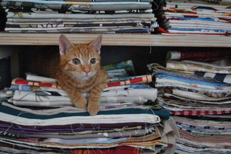 Magazyn Swidnica24.pl na weekend