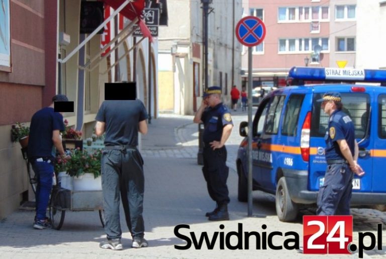 Prawdziwe utrapienie działkowców