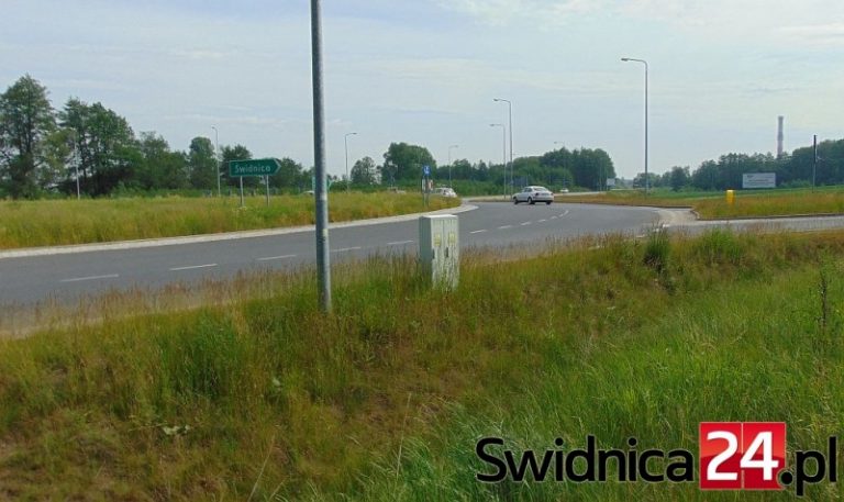 Chaszcze na rondach i małej obwodnicy