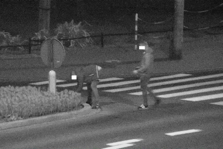 Wandale i złodzieje kwiatów w oku kamery
