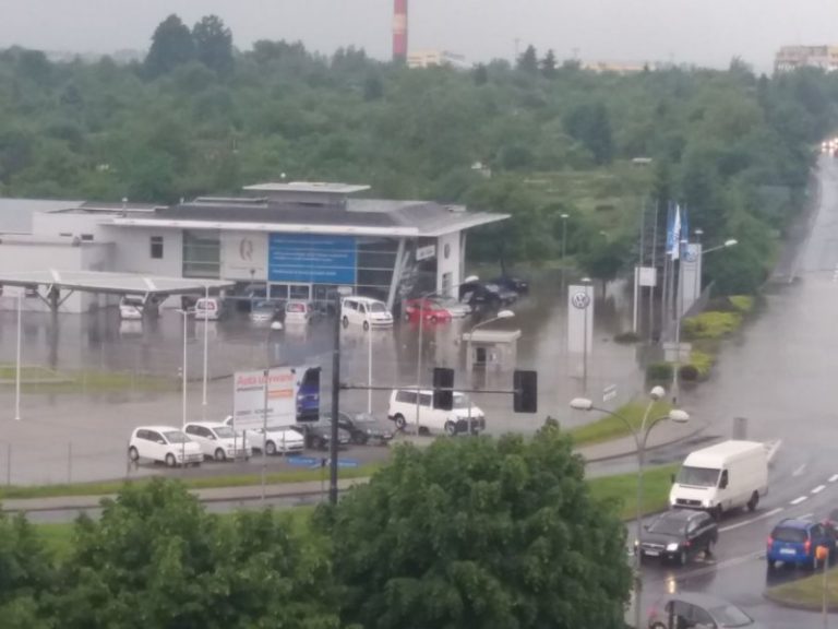 Straty w firmach samochodowych [WYJAŚNIENIE]