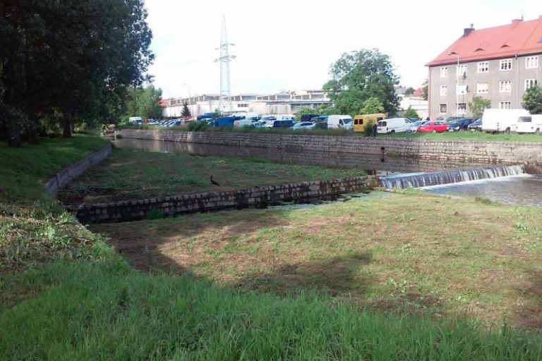 Czarny bocian coraz bliżej centrum