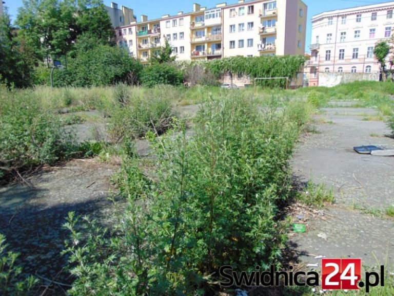 Boisko widmo [FOTO]