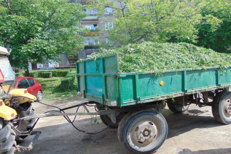 Chaszcze koło Rynku zlikwidowane