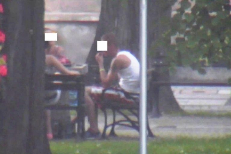 Sterta łupin za trzysta złotych