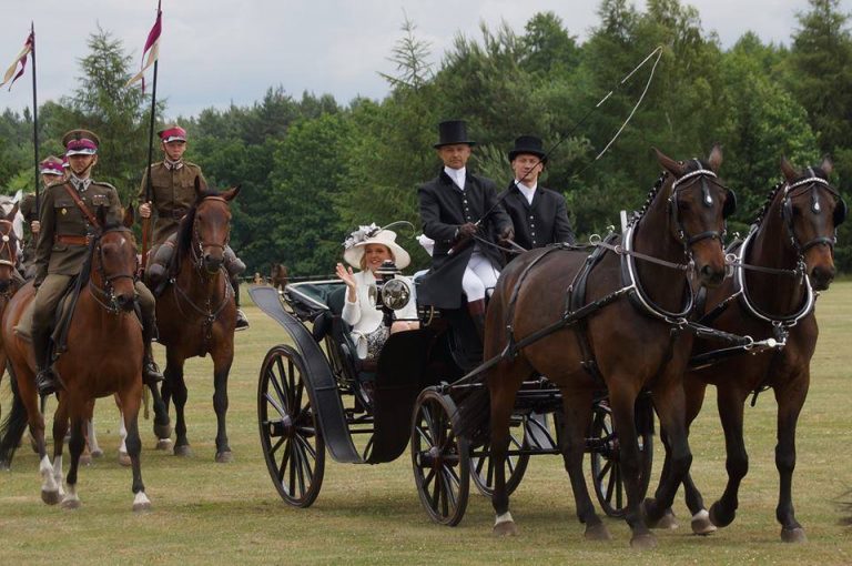 Piękne konie i powozy