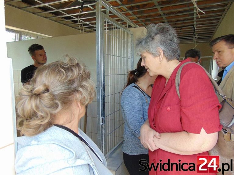 Kto poprowadzi schronisko dla zwierząt?