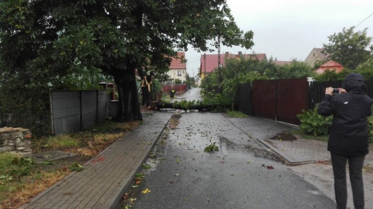 Wichura szaleje w powiecie [FOTO]