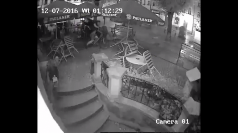 Złodziej w letnim ogródku [FOTO/VIDEO]
