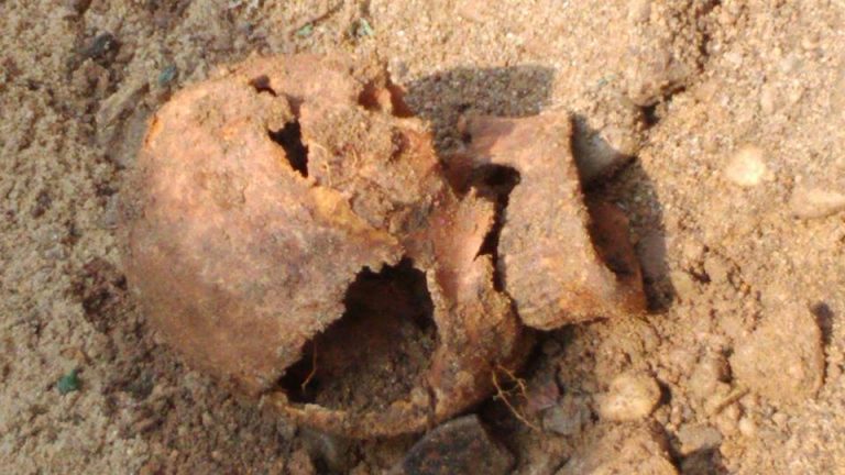 Tak wygląda czaszka żołnierza sprzed wieków [FOTO]