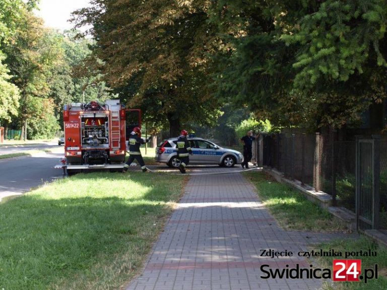 Zapaliła się szopa z drewnem [FOTO]