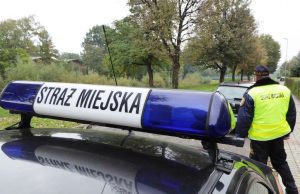 Pogryziony za nachalne głaskanie i muzyka zagłuszająca telewizor. Interwencje strażników