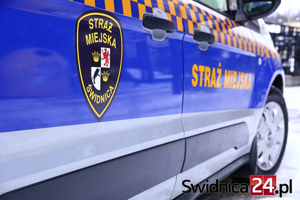 W ubiegłym roku przyjęli ponad 7800 zgłoszeń i wystawili 450 mandatów. Świdnicka straż miejska ma 35 lat