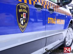 W ubiegłym roku przyjęli ponad 7800 zgłoszeń i wystawili 450 mandatów. Świdnicka straż miejska ma 35 lat