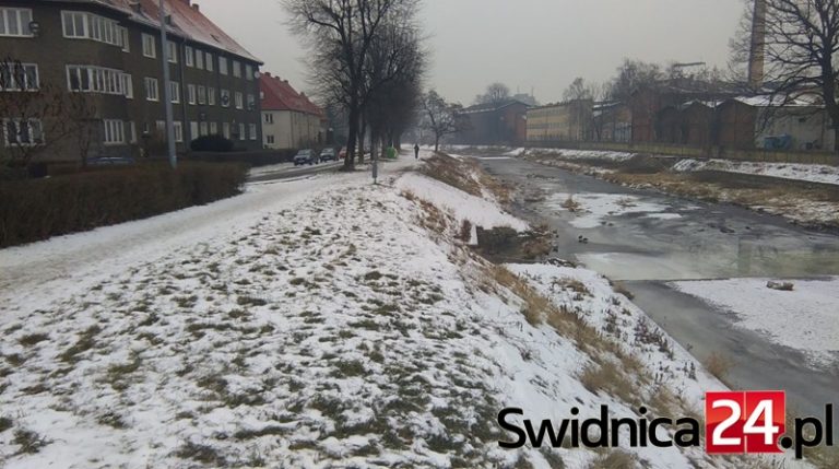 Wykonawca trasy rowerowej na ul. Nadbrzeżnej wybrany