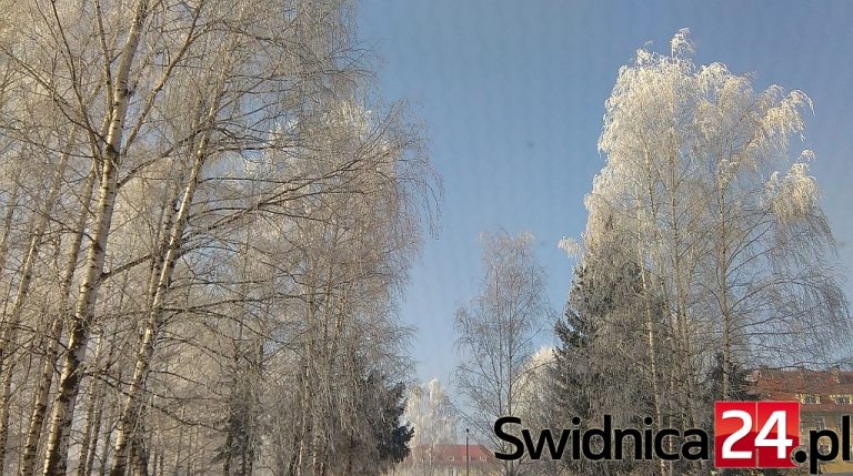 Zimowa bajkowa Świdnica