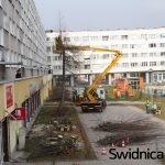 WYCINKA DRZEW – UL.SIOSTRZANA – 2017.03.13 – (10)