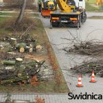 WYCINKA DRZEW – UL.SIOSTRZANA – 2017.03.13 – (12)