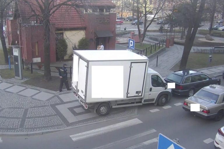 Mistrz parkowania ukarany