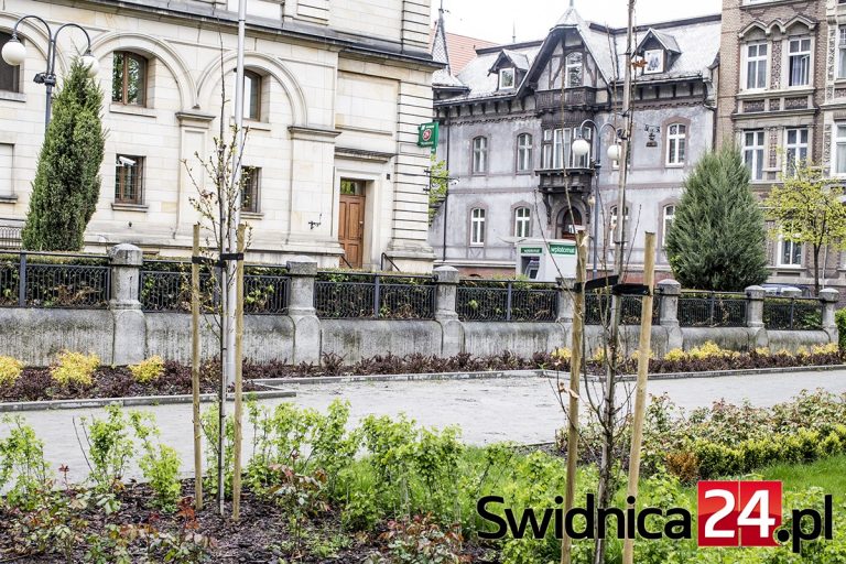 Gdzie są ławeczki?