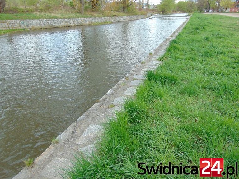 Będą sprzątać wokół Bystrzycy
