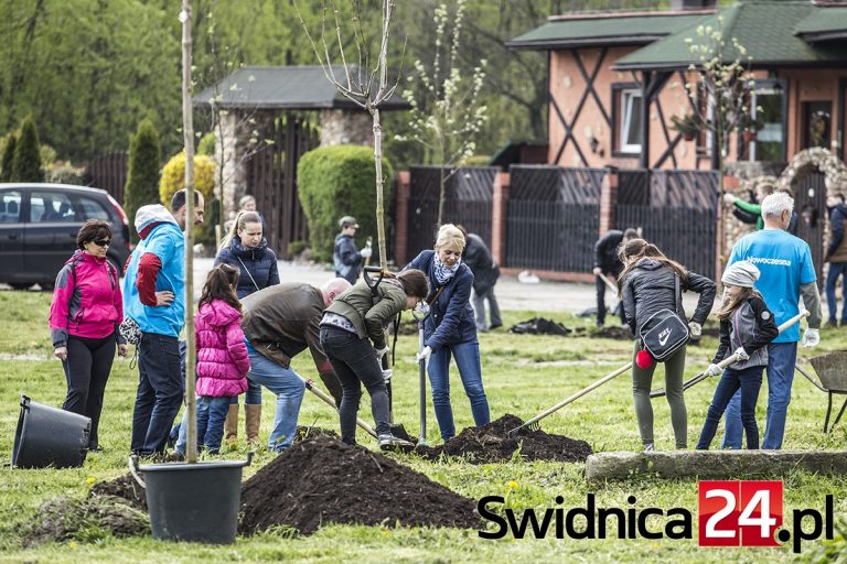 Posadzili drzewa nad zalewem [FOTO]
