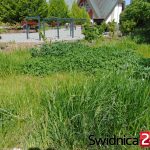 promenada Wyszyńskiego (22)