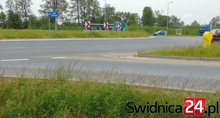 Przez trawy niewiele widać…
