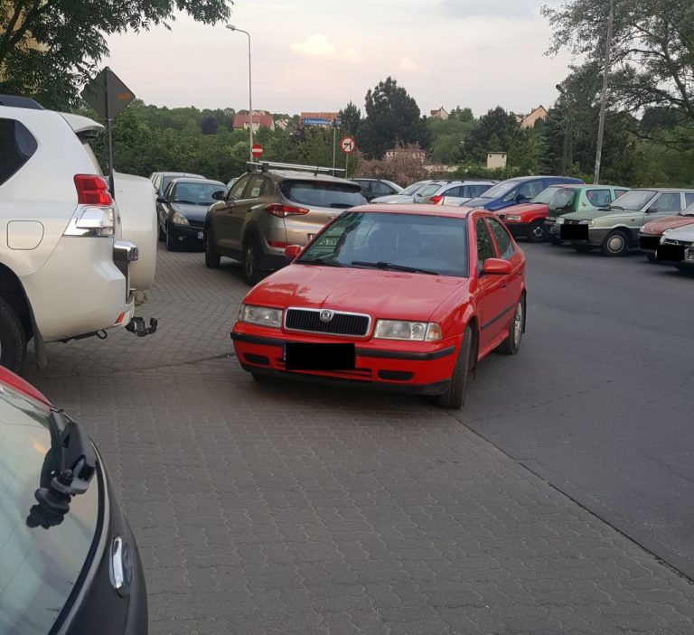 Mistrzowie parkowania [FOTO]