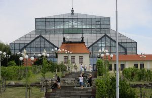 Małki w podróży: Zielona Góra i winobranie