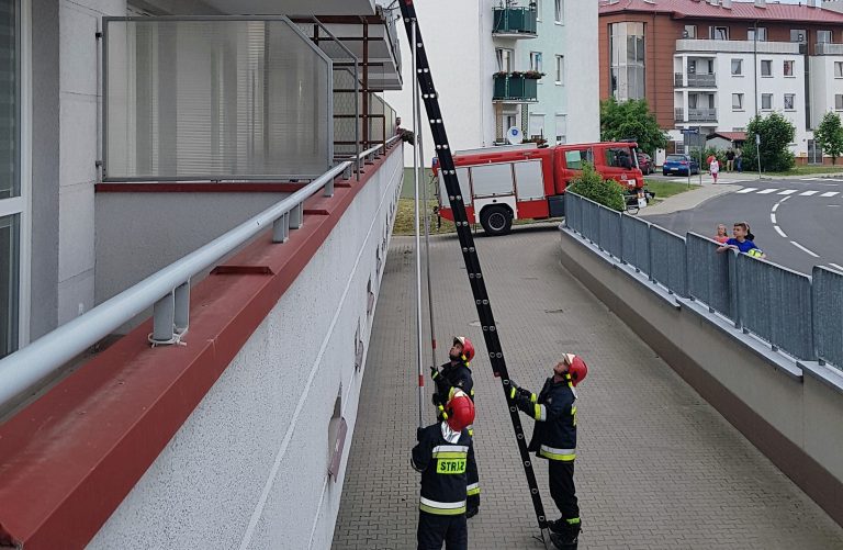 Strażacy uwolnili jaskółkę [FOTO]
