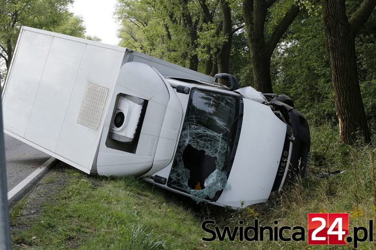 Jazdę skończył w rowie [FOTO]