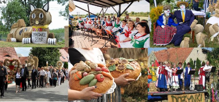 Dożynki w powiecie. Bogate programy święta plonów
