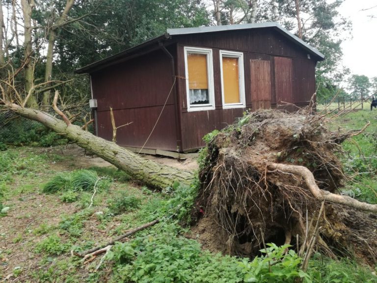 Tragedia po burzy w obozie harcerskim. Świdniccy harcerze bezpieczni [FOTO]