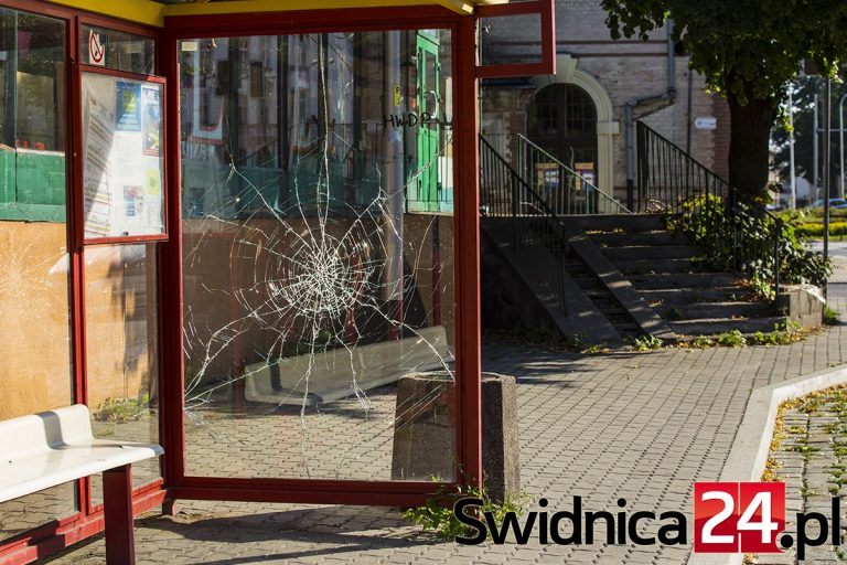 Kto niszczy przystanki? Wandale czy siły fizyki?
