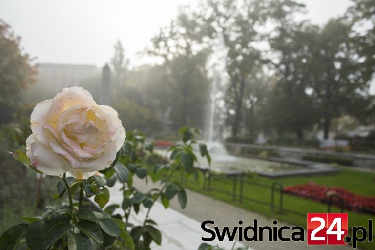 Jesień w Świdnicy [ZDJĘCIA]