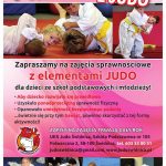 plakat judo