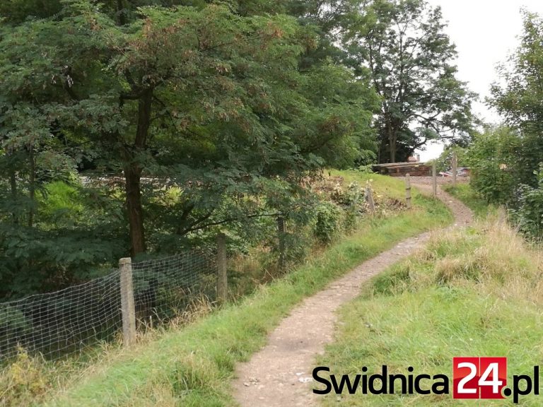 Jest zgoda na budowę tunelu pod torami na Kraszowickiej