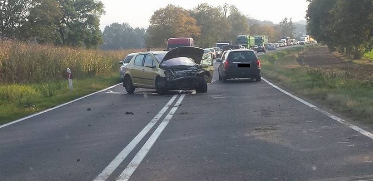 Wypadła z jezdni na łuku drogi 35 [FOTO]
