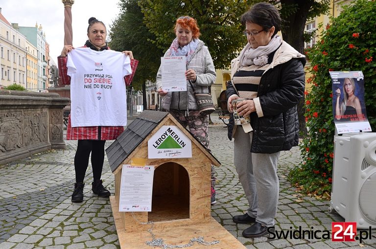 Zerwijmy łańcuchy: Przestańmy się bać, reagujmy! [FOTO]