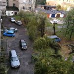 Strzegom 1