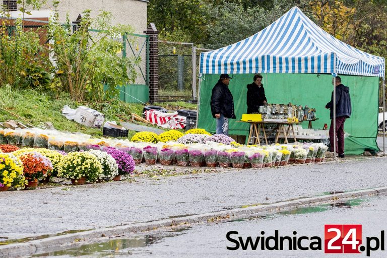 Kwiaty, stroiki, znicze. Jakie ceny w Świdnicy? [FOTO]