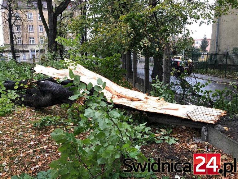 IMGW ostrzega przed silnym wiatrem i gołoledzią na południu województwa