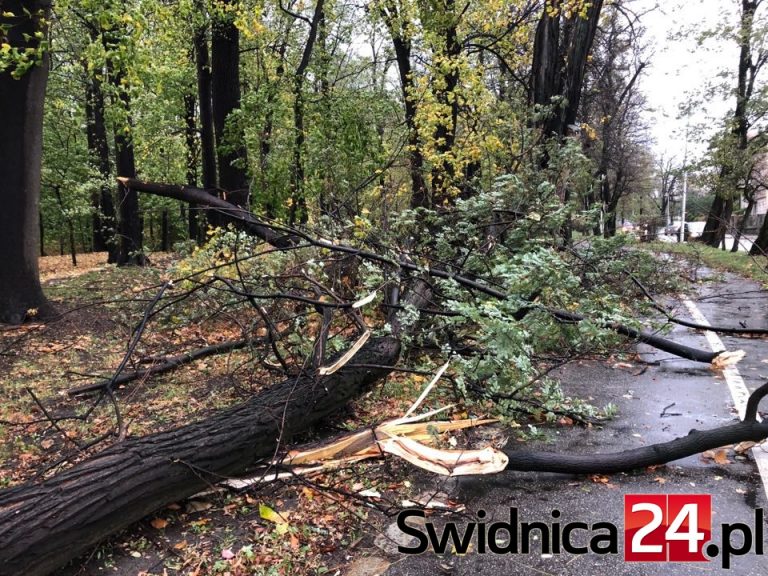 Uwaga! Zakaz wstępu do parków i na cmentarz