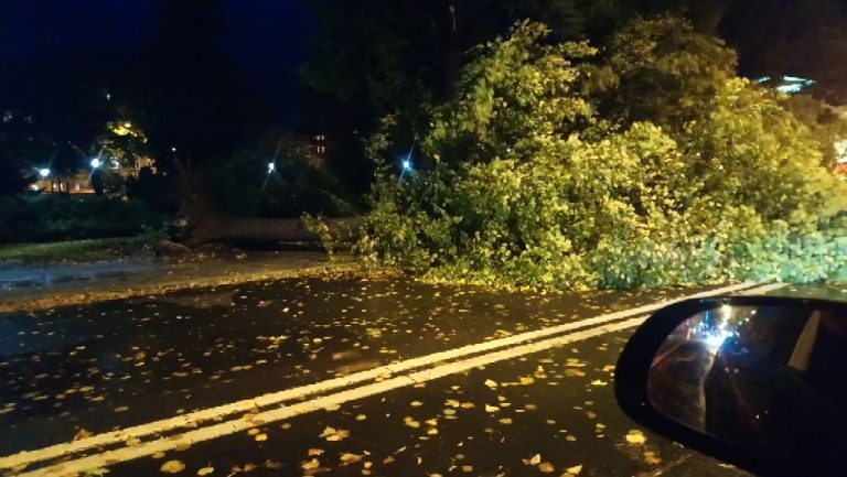 Kilkadziesiąt wyjazdów straży pożarnej, przerwy w dostawie prądu