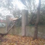 ul. Westerplatte