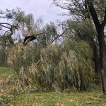 ul. Śląska (1)
