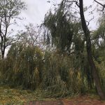 ul. Śląska (4)
